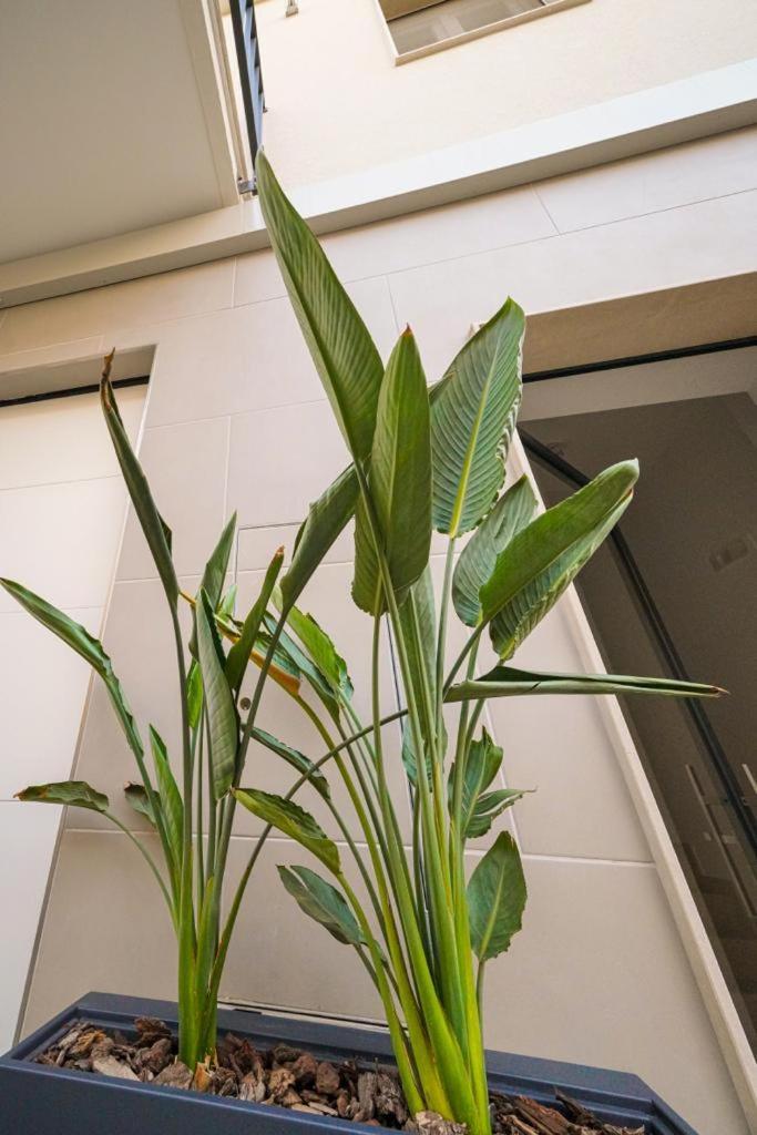 Run House 07 Rooms & Apartments Cassano delle Murge Bagian luar foto